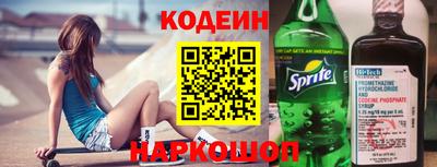 jwh Кингисепп