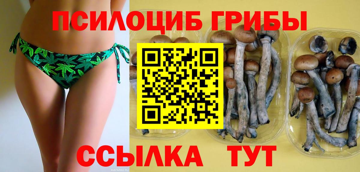 Псилоцибиновые грибы мухоморы Тобольск
